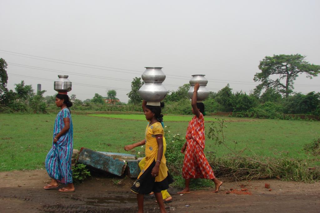 NSSO Survey: Only 39.1% of all Households have Drinking Water Within Dwelling, 46.7% of Rural Households use Firewood for Cooking